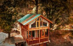 WOW the Tree House