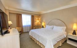 Holiday Inn Leon-Convention Center By IHG