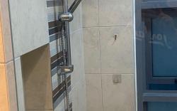 Robertson residences -Tropical Trip 