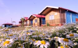 Chakrata Pacific Resort & Spa