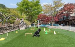 Gapeong Eoneunal Spa Pet Pension