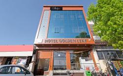 Collection O Golden Leaf