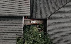 Ancient Charm Inn Chengdu