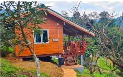 Peach House