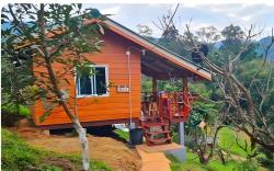 Peach House
