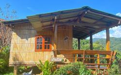 View House
