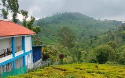 Nest Valley Kotagiri