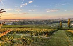 Maison de caract  re au c  ur des vignes