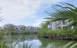 Cozy Homey Studios - Hoi an Coco Forest