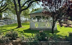Charming Farm Cottage, Relax  Recharge