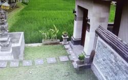 Sarin Pertiwi Private villa 