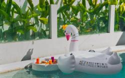 Brand New Modern 3BR Villa for 6 in Canggu