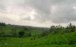 Dukuh Baturan Villa