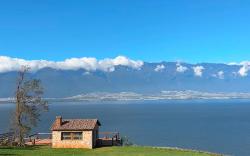 小熊之家Little Bear's Home