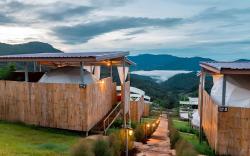 Koya Homestay