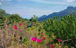 Casa Vacanze "Anna Holiday Home"