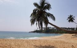 Tangalle Bay Cottages