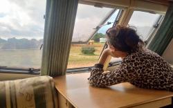 A very neat English caravan for 4 with all amenities and view of the horses