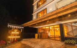 Divine The Celeste, Pelling