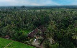 Green Zone Ubud Villas