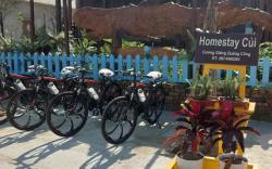 Homestay Củi