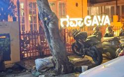 Gava