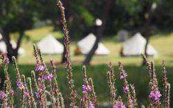Iluka Retreat Glamping Village