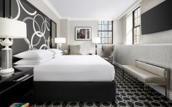 The Muse New York