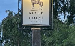 The Black Horse 