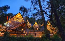 Musical Paradise Kasauli