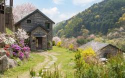 Gapyeong On The Hill Pool Villa