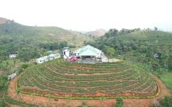ThePrincess of Wayanad