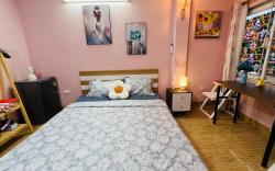 Studio cửa mùa thu 