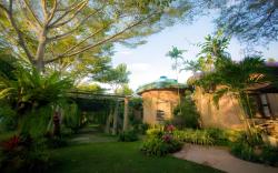 Leafy Greens Chiangmai