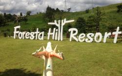 Foresta Hill Resort