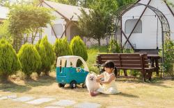 Chungju Palbong Glamping