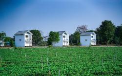 Naoat Resort Farm & Cafe