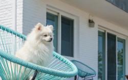 Yangyang Sunrise Sea Pension