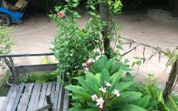 Sok Phen Homestay