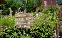 Lung Chung Doi Sapa - Homestay & Coffee Garden