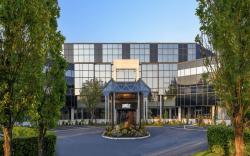 The Jangle Hotel