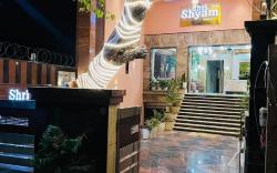 Shri Shyam Hotel, Near Harkipauri