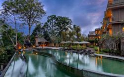 Hoshi Jungle Resort