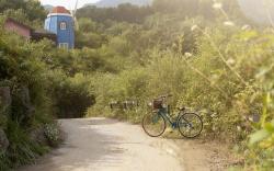 Gapyeong Windmill Pension