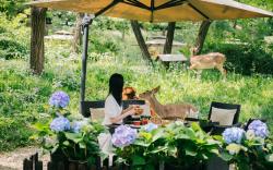 Zhi Resort Beijing