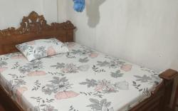 Fruit & Spices garden home stay