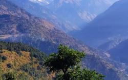 Chaukhamba View Resort