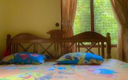 Shyam Villa