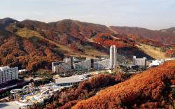 Phoenix Hotel Pyeongchang