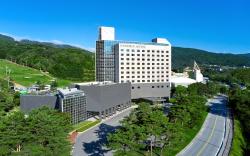 Phoenix Hotel Pyeongchang